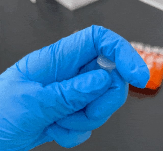 /uploads/image/2024/10/10/1.jpg 1.jpg