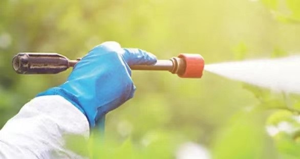 /uploads/image/2024/10/10/22.jpg 22.jpg