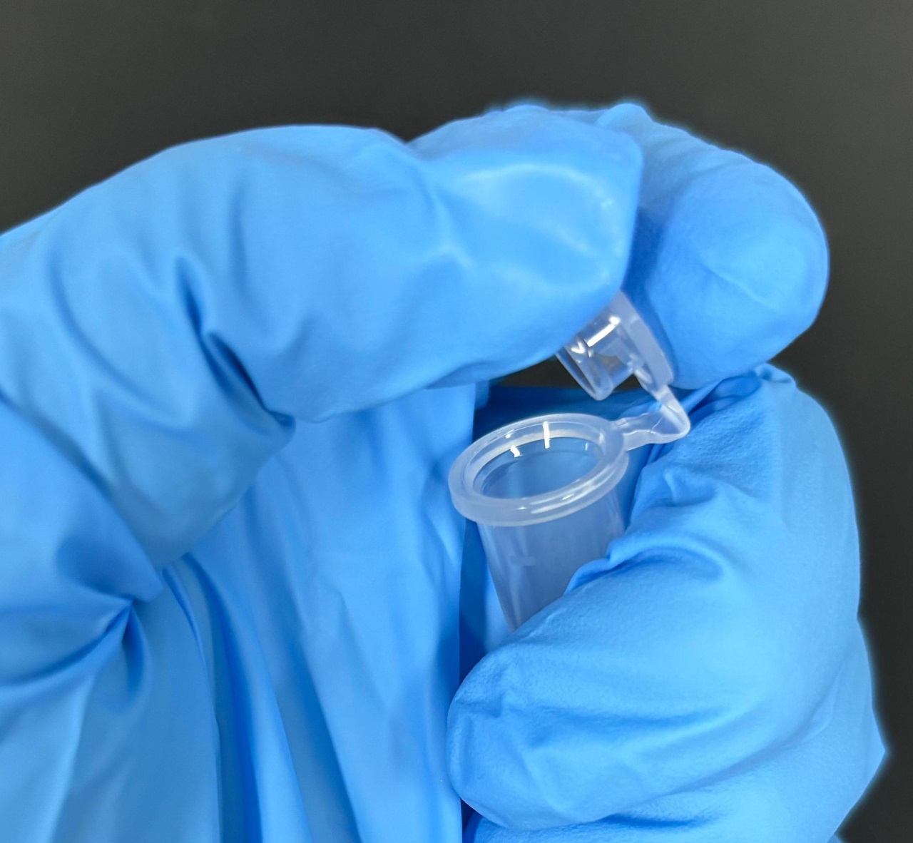 /uploads/image/2024/10/10/33.jpg 33.jpg