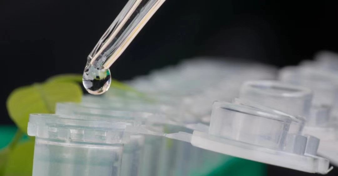 /uploads/image/2024/10/10/8.jpg 8.jpg